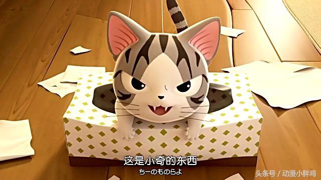 我有超级萌友小奇猫，奇猫（3D版动漫《甜甜私房猫》小奇360°全方位卖萌）