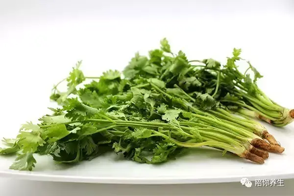 天香菜药用价值和功效，天香菜药用价值和功效与作用（这种菜很多人不爱吃）
