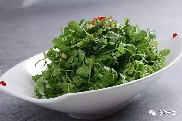 天香菜药用价值和功效，天香菜药用价值和功效与作用（这种菜很多人不爱吃）