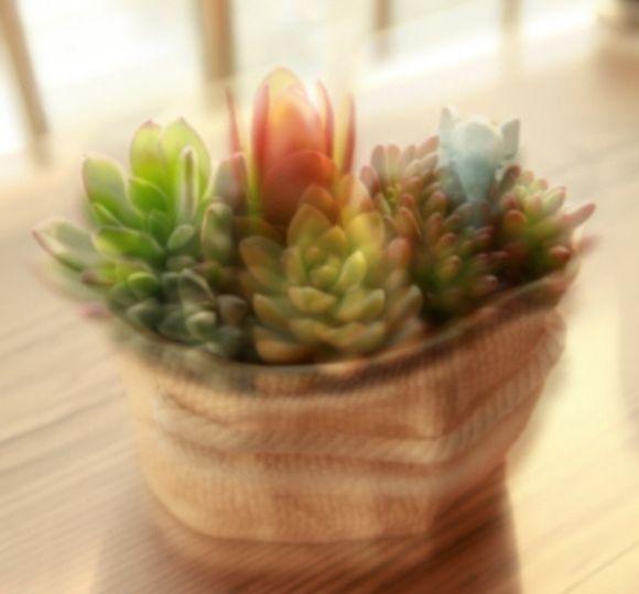 散光中的世界是怎样的，400度散光的人没带眼镜看到的世界是这样的