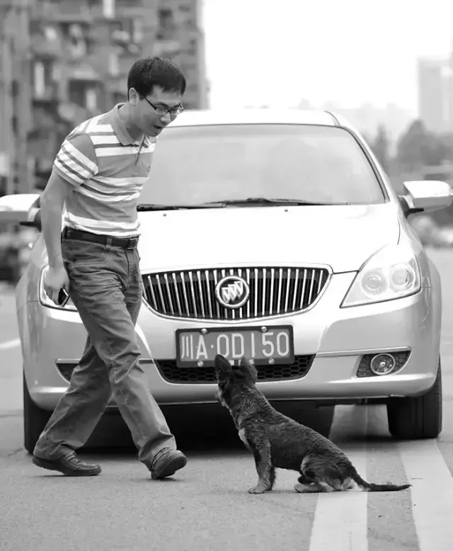 巴适是什么意思，贵州人说巴适是什么意思（2017成都话考试提纲专业图文版出炉）