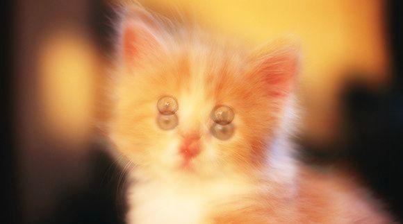 散光中的世界是怎样的，400度散光的人没带眼镜看到的世界是这样的