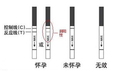 不用试纸怎么自测怀孕，不用试纸自查怀孕（到底多久能测出来是否怀上）