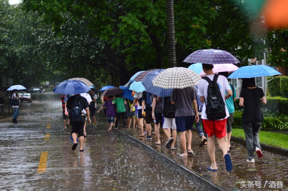 女人梦见下雨什么预兆，女人梦见下雨什么预兆天亮了（难道人也有预知天气的能力）