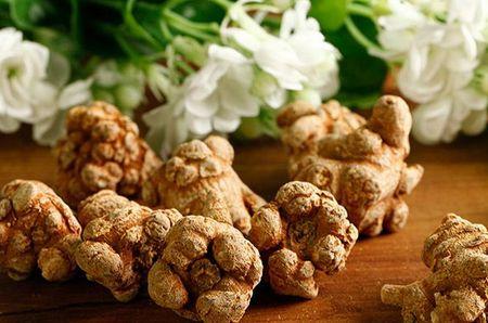 麦冬种子多少钱一斤，麦冬种子多少钱一斤啊（2017年4月药材产地最新中药材价格及行情走势及分析预测）