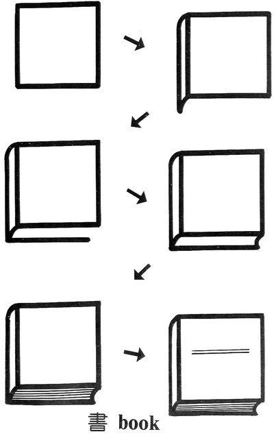 简笔画之荷叶，和小朋友互动（一个正方形画出N种画）