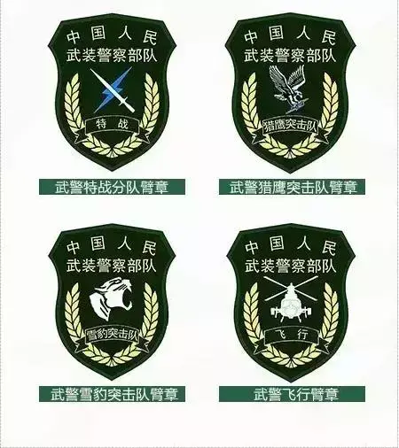 中国军衔等级胸章，军服胸章级别图怎么看（军改后的全军部队臂章和军衔标识暨军服大全）