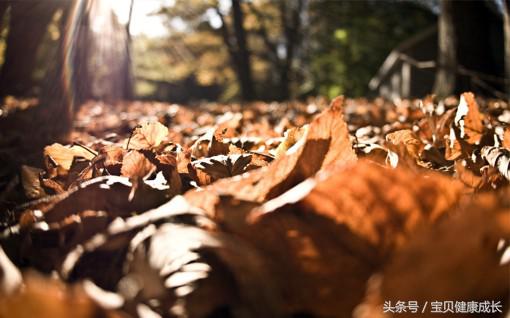 九九归一是什么生肖，九九归一什么意思（九九归一什么意思）