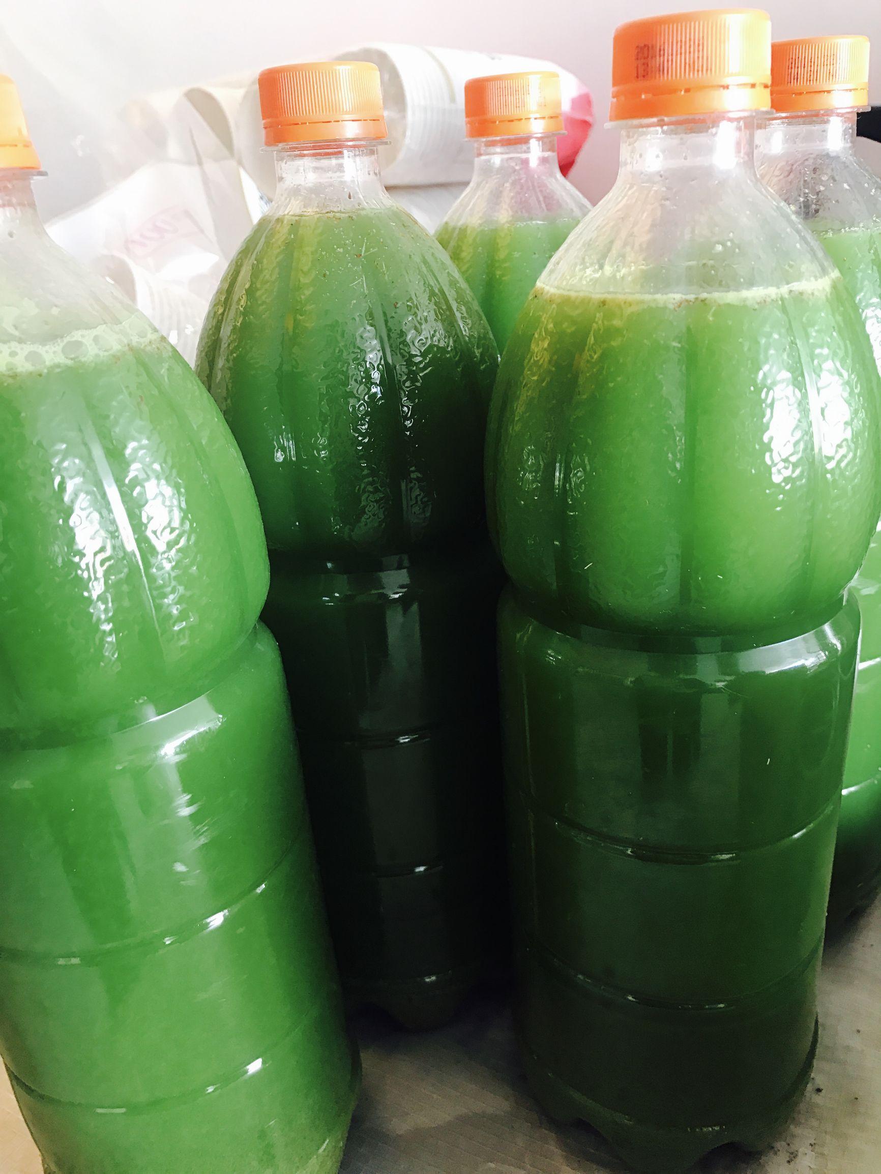 松针酒的制作方法,三种人不宜吃松针(——快随我来王家小院见证大自然