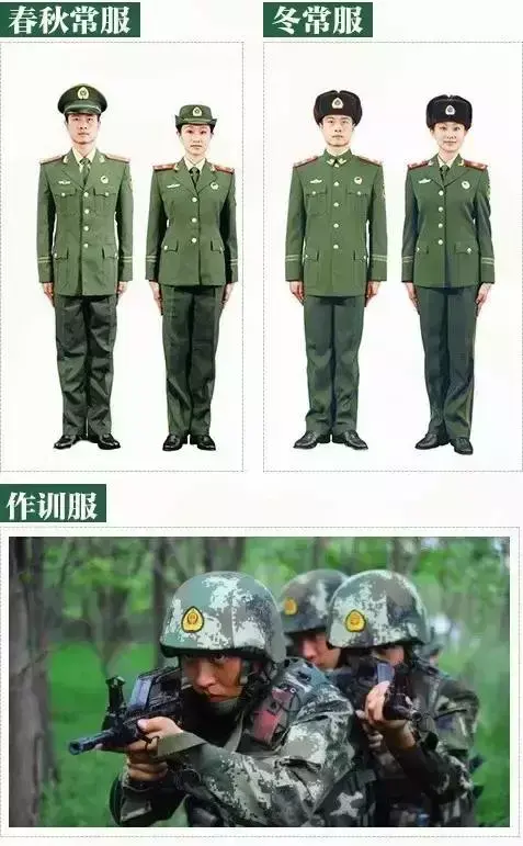 中国军衔等级胸章，军服胸章级别图怎么看（军改后的全军部队臂章和军衔标识暨军服大全）