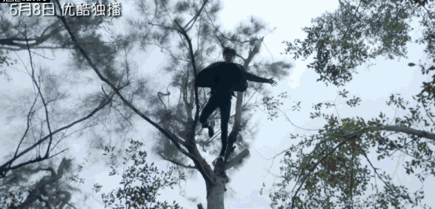 寒武纪电视剧更新时间表，看《寒武纪》如何将“少女心”“警匪”“悬疑”完美混搭