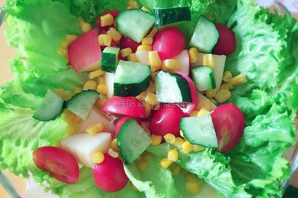 蔬菜沙拉的做法，蔬菜沙拉家常简单做法（收好这份蔬菜沙拉做法大全）