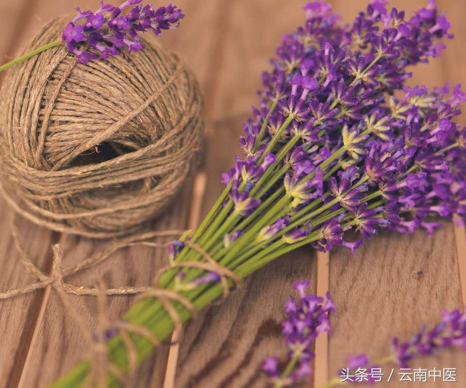 芍药花的功效与作用，芍药花的作用（药用芍药）