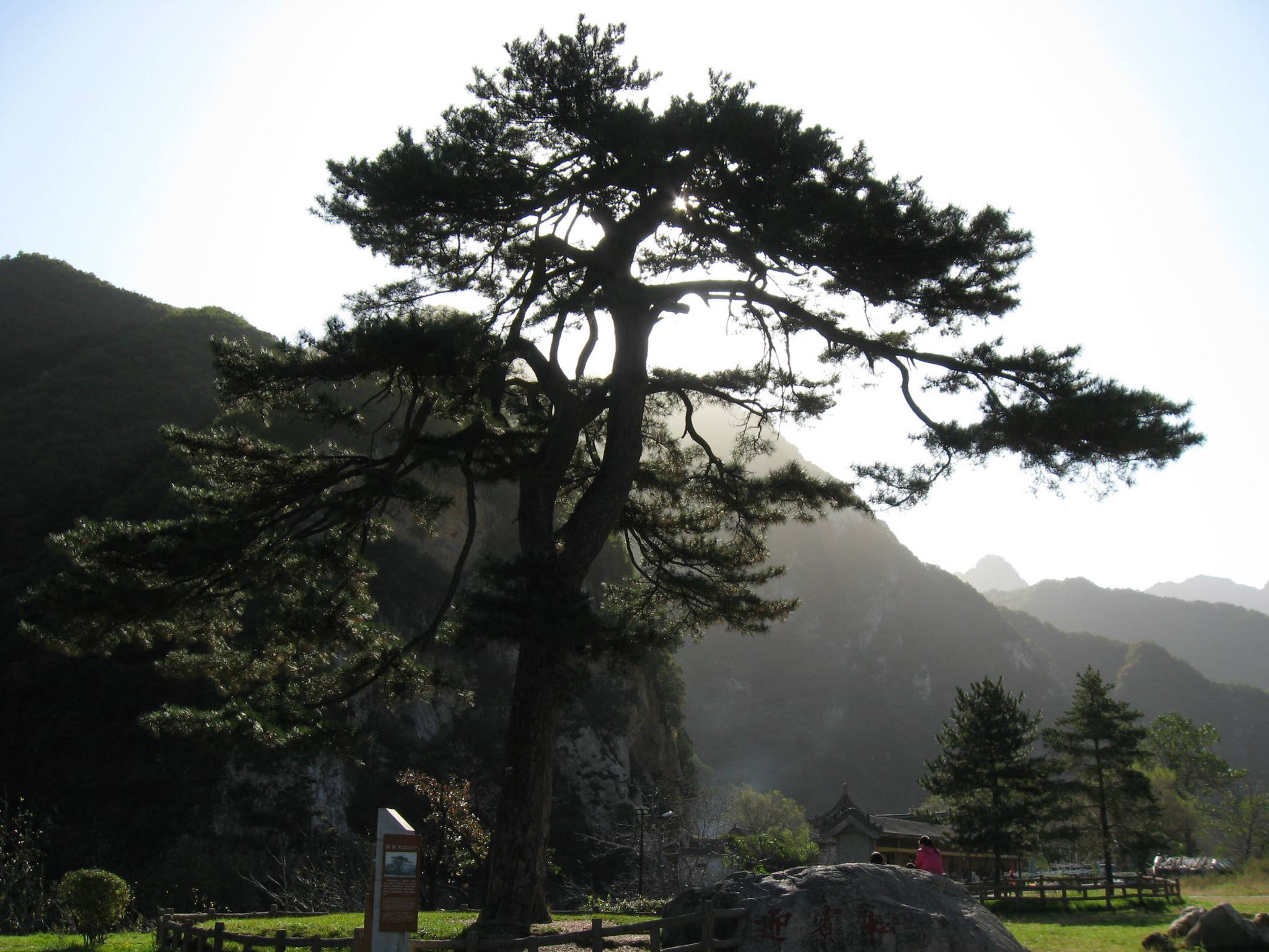 問道南山隱士,問道南山隱士本人照片(探訪隱士,問道終南山 圖片>)