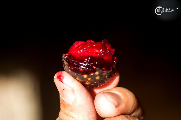 胭脂果的功效与作用，胭脂果泡酒的功效与作用（我敢保证你没吃过也见过。）