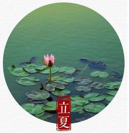 关于立夏的美好诗句，关于立夏的美好诗句有哪些（送你十二首最美的初夏诗词）