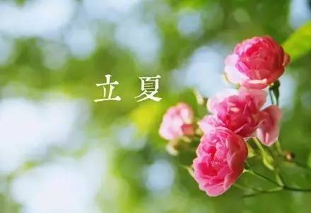 关于立夏的美好诗句，关于立夏的美好诗句有哪些（送你十二首最美的初夏诗词）