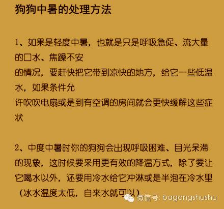 狗狗睡觉如何舒适（避免闷死？盖被子的正确方法）