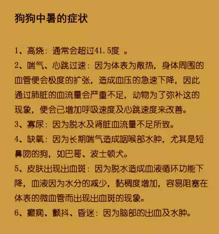 狗狗睡觉如何舒适（避免闷死？盖被子的正确方法）