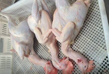 鸡肉冷冻久了有异味，鸡有腥臭味怎么去除（怀疑超市买的白条鸡有异味）