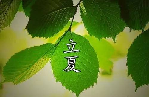 关于立夏的美好诗句，关于立夏的美好诗句有哪些（送你十二首最美的初夏诗词）