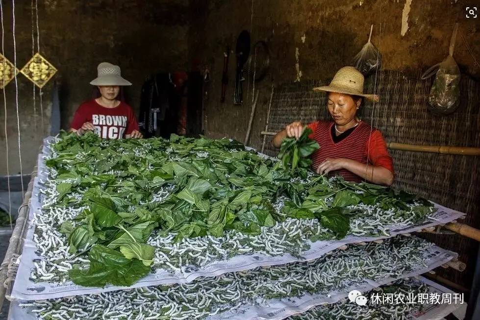 副业是什么意思啊,副业刚需是什么意思(教你如何做休闲副业)