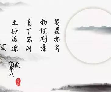 医圣是谁，医圣,神医,药圣,药王分别是谁（一言中医——医圣张仲景）