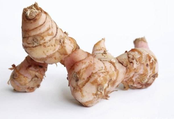 南姜和生姜的区别，南姜和生姜的区别在哪（餐创大课堂教你识香料——南姜）