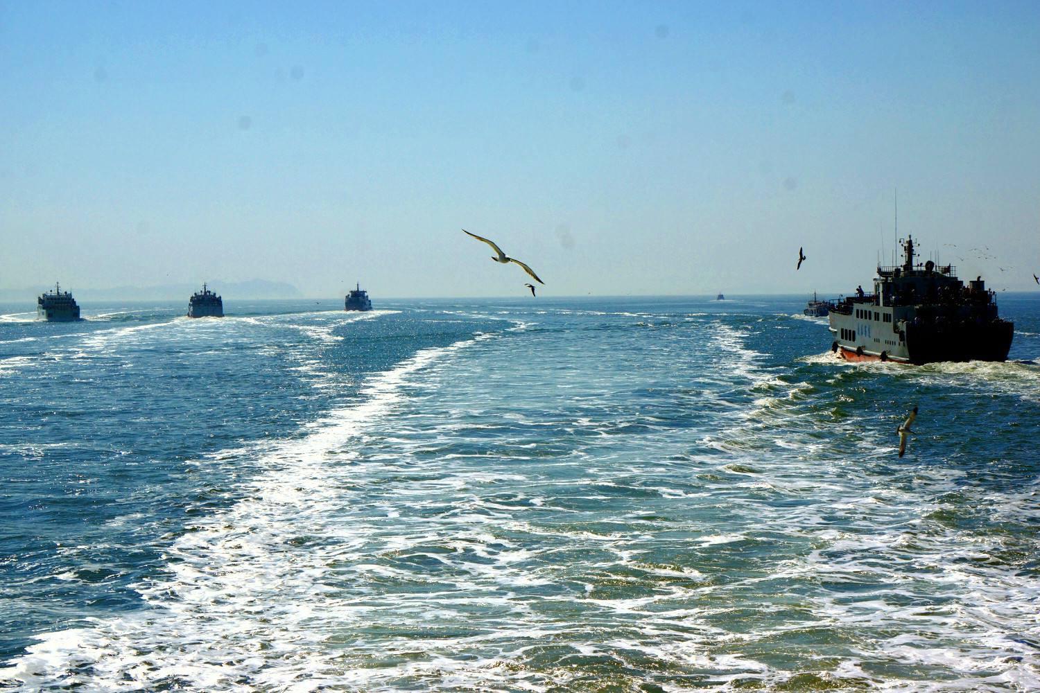 大连海岛旅游攻略,大连海岛游(大连海岛旅游必备攻略)