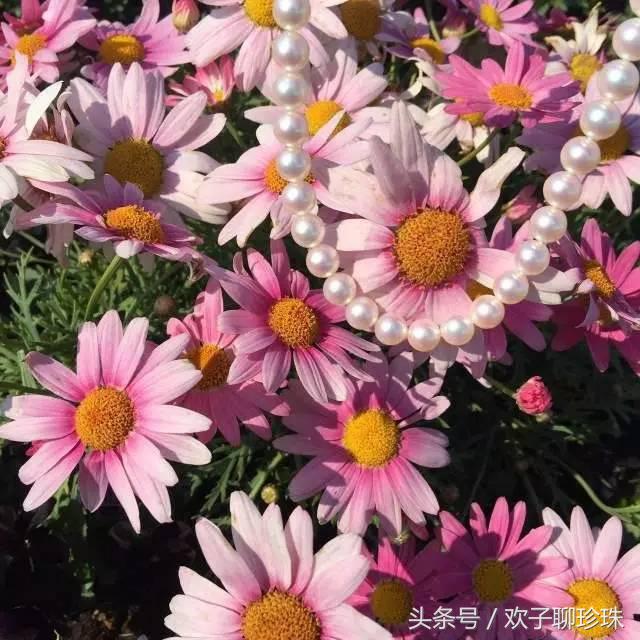 永远不分开 欢子，大学生原创歌曲（一定要秀出来——珍珠子母链）