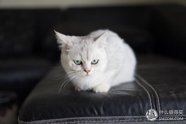 oppoa9x呼吸灯怎么设置，oppor9s呼吸灯怎么设置（——努比亚Z17mini双摄手机赏析）