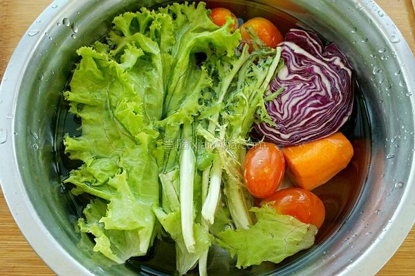 蔬菜沙拉的做法，蔬菜沙拉家常简单做法（收好这份蔬菜沙拉做法大全）