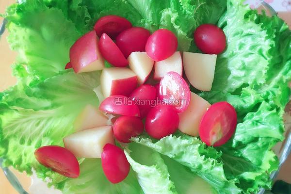 蔬菜沙拉的做法，蔬菜沙拉家常简单做法（收好这份蔬菜沙拉做法大全）