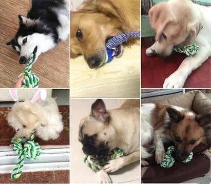 开个狗粮加工厂挣钱吗，生产狗粮的利润有多大（狗粮加工厂15%净利润吓坏众多食品企业）