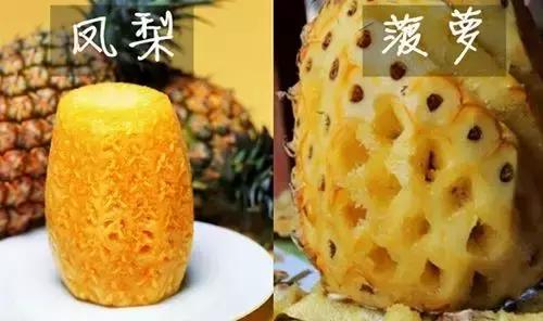 凤梨和菠萝的区别哪个更好吃，区分菠萝和凤梨的对比方法