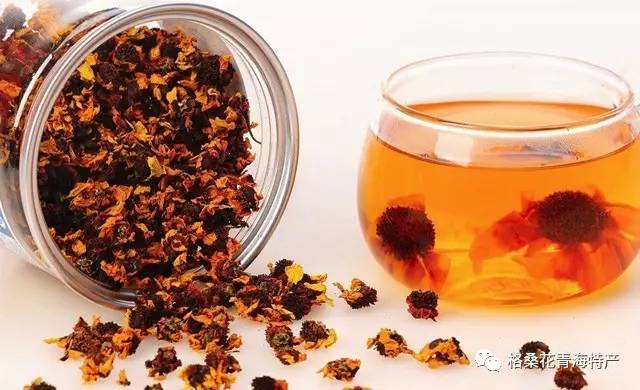 昆仑雪菊的功效与作用与昆仑雪菊的食用方法，请问昆仑雪菊有什么功效（神奇的天山昆仑雪菊）