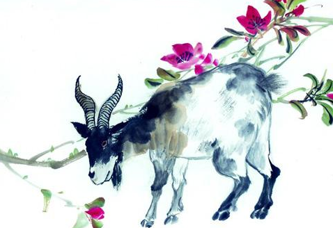 79年属羊一生的命运，79年属羊人的一生宿命（这三大生肖的命运）