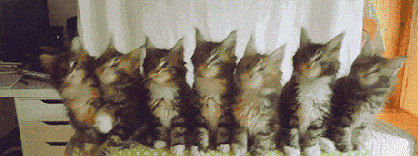 oppo账号密码，OPPO手机怎么找回账号密码（OPPO帐号到底有什么用）