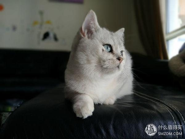 oppoa9x呼吸灯怎么设置，oppor9s呼吸灯怎么设置（——努比亚Z17mini双摄手机赏析）