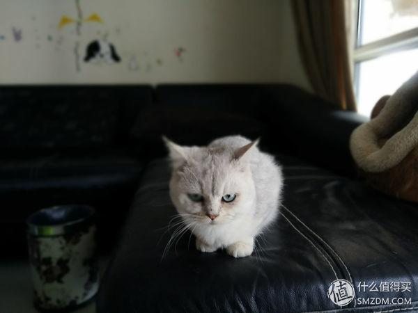 oppoa9x呼吸灯怎么设置，oppor9s呼吸灯怎么设置（——努比亚Z17mini双摄手机赏析）