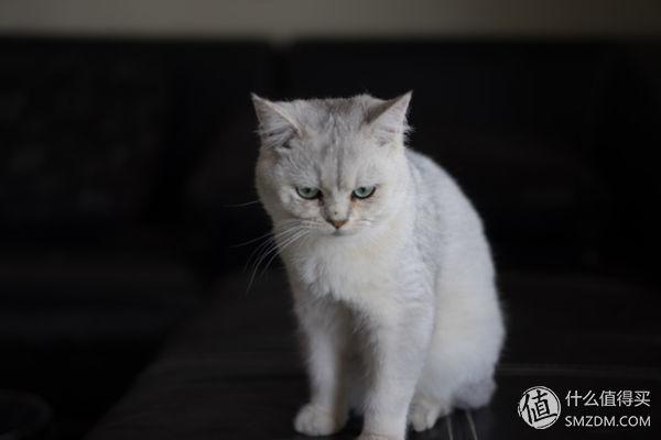 oppoa9x呼吸灯怎么设置，oppor9s呼吸灯怎么设置（——努比亚Z17mini双摄手机赏析）