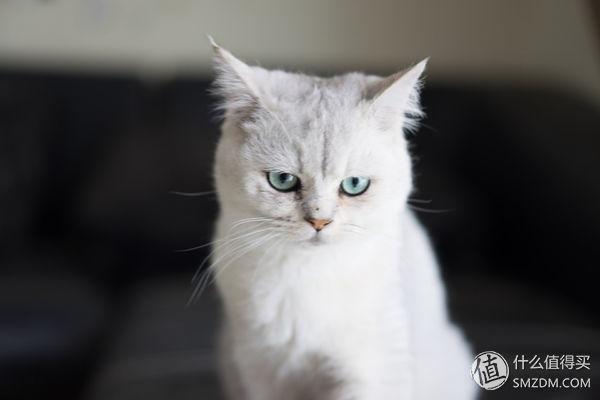 oppoa9x呼吸灯怎么设置，oppor9s呼吸灯怎么设置（——努比亚Z17mini双摄手机赏析）