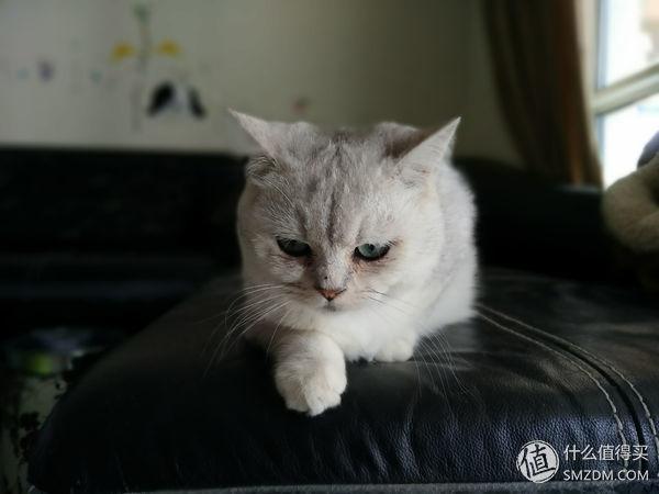 oppoa9x呼吸灯怎么设置，oppor9s呼吸灯怎么设置（——努比亚Z17mini双摄手机赏析）