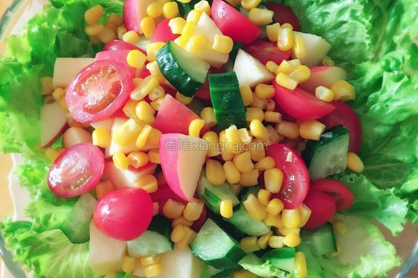蔬菜沙拉的做法，蔬菜沙拉家常简单做法（收好这份蔬菜沙拉做法大全）