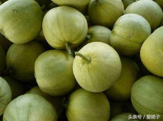 香瓜的籽能吃吗，香瓜籽能吃吗（种的一种瓜不吃肉）