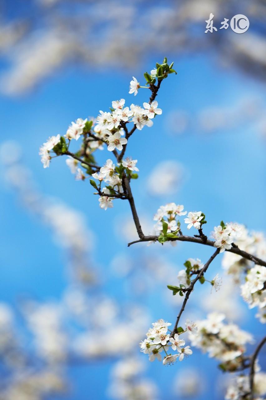 库斯式呼吸的名词解释，库氏呼吸又叫什么呼吸（糖尿病病人如何获得安全的麻醉）