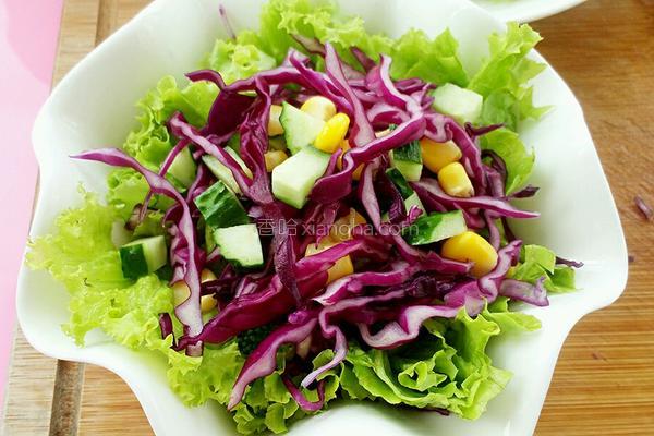 蔬菜沙拉的做法，蔬菜沙拉家常简单做法（收好这份蔬菜沙拉做法大全）