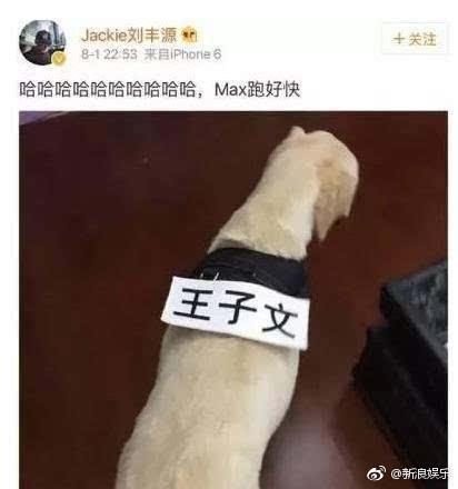 刘丰源个人资料介绍 刘丰源的简介，刘丰源个人资料介绍（“曲筱绡”王子文或已结婚生子）