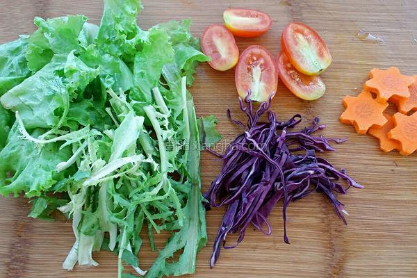 蔬菜沙拉的做法，蔬菜沙拉家常简单做法（收好这份蔬菜沙拉做法大全）