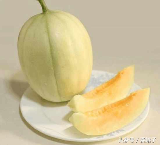 香瓜的籽能吃吗，香瓜籽能吃吗（种的一种瓜不吃肉）